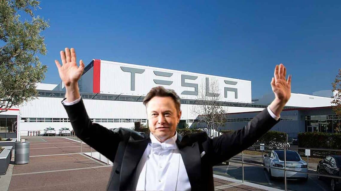 Elon Musk jobs offer