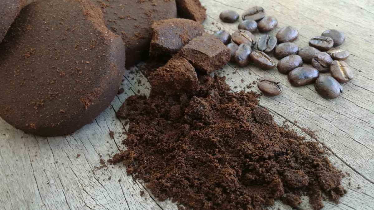 Don't throw your coffee grounds in the trash: this is how you can reuse them and save money