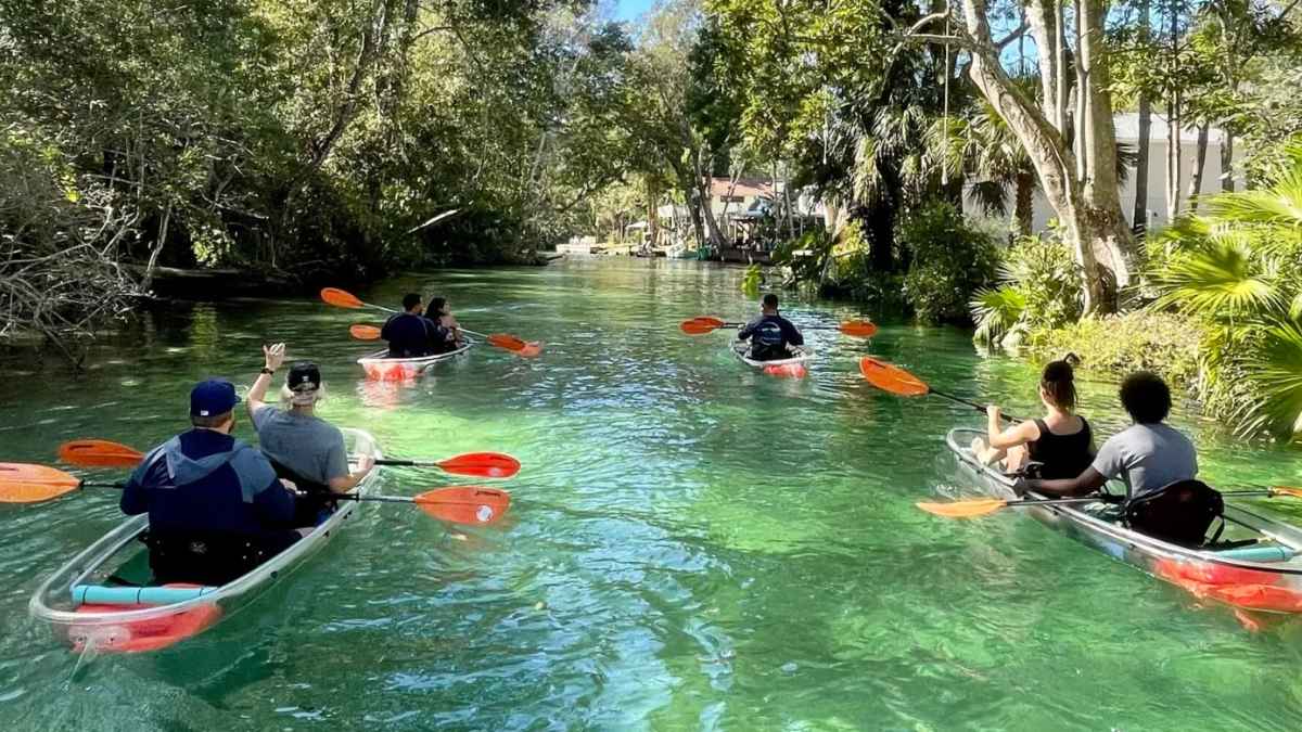 Kayakers on crystal-clear Juniper Springs, Florida, before closure over 14-foot alligator