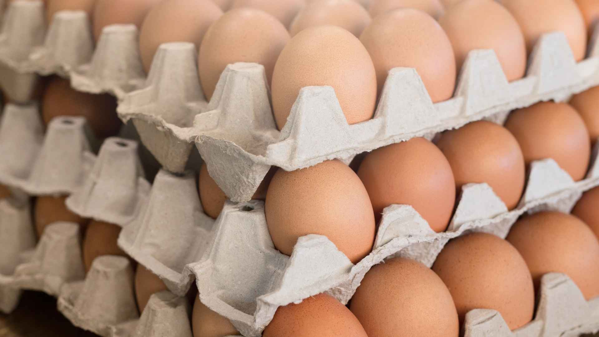 Brown eggs stacked in cartons highlight search for cheapest eggs beyond Walmart and Aldi.
