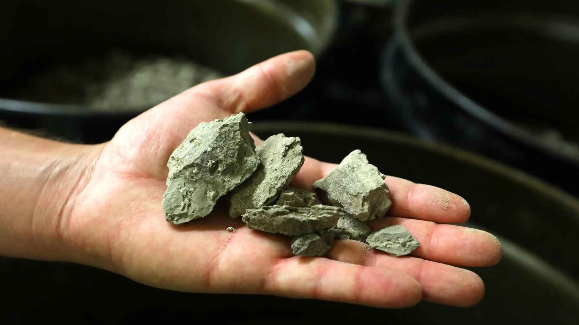 Hand holding lithium-rich claystone samples from the Oregon–Nevada McDermitt Caldera lithium deposit.