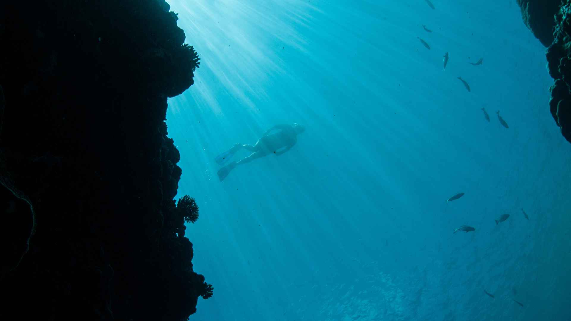 Diver glides through sun-lit North Sea depths beside reef, evoking Europe’s hidden 45,000-ton green-hydrogen treasure.