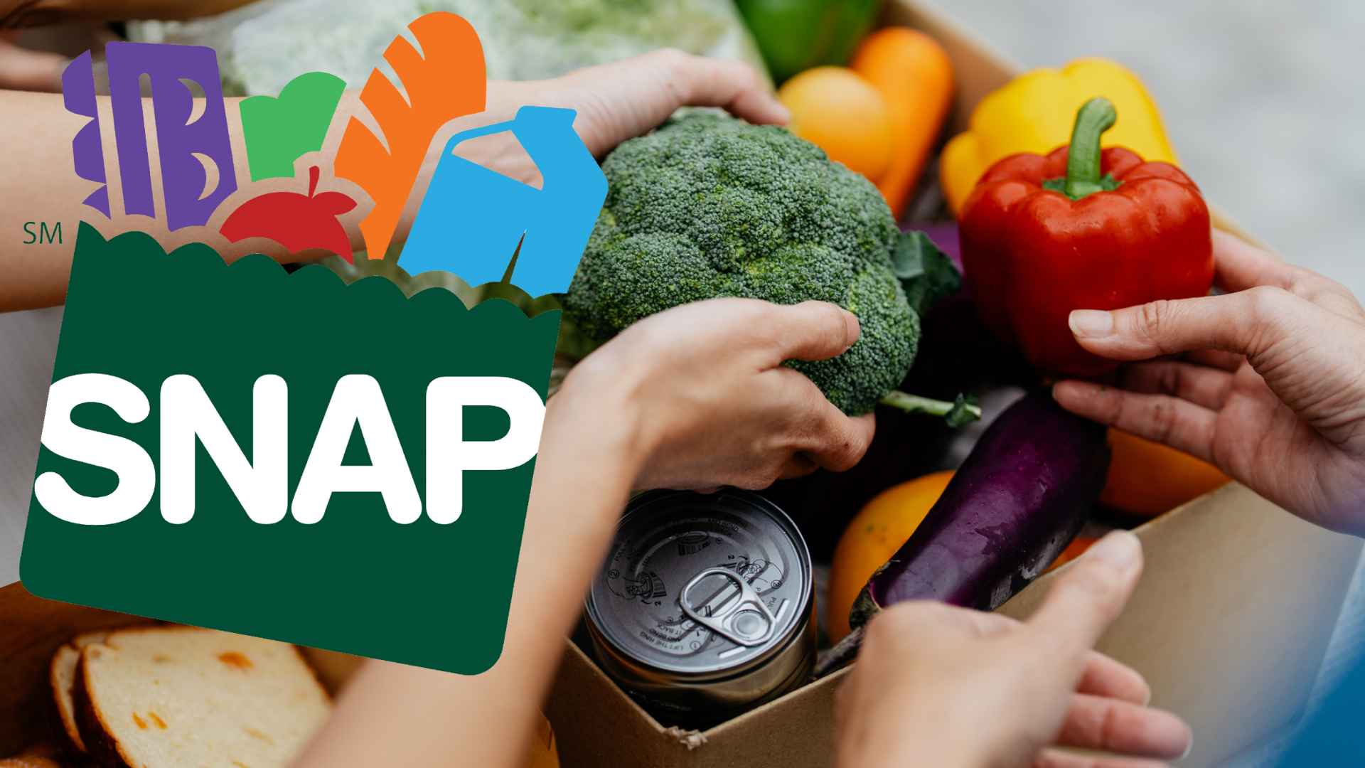 Hands placing broccoli and a red pepper into a grocery box beside the colorful SNAP logo, symbolizing June food-stamp payments up to $975.