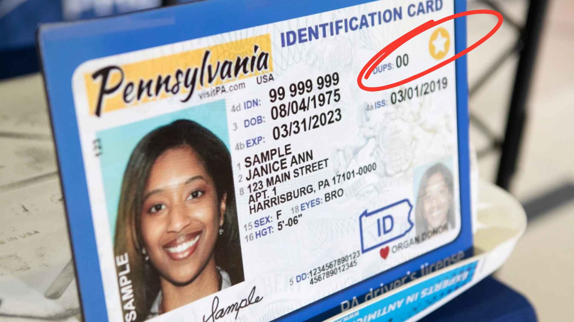 REAL ID-compliant Pennsylvania identification card with gold star in upper right corner