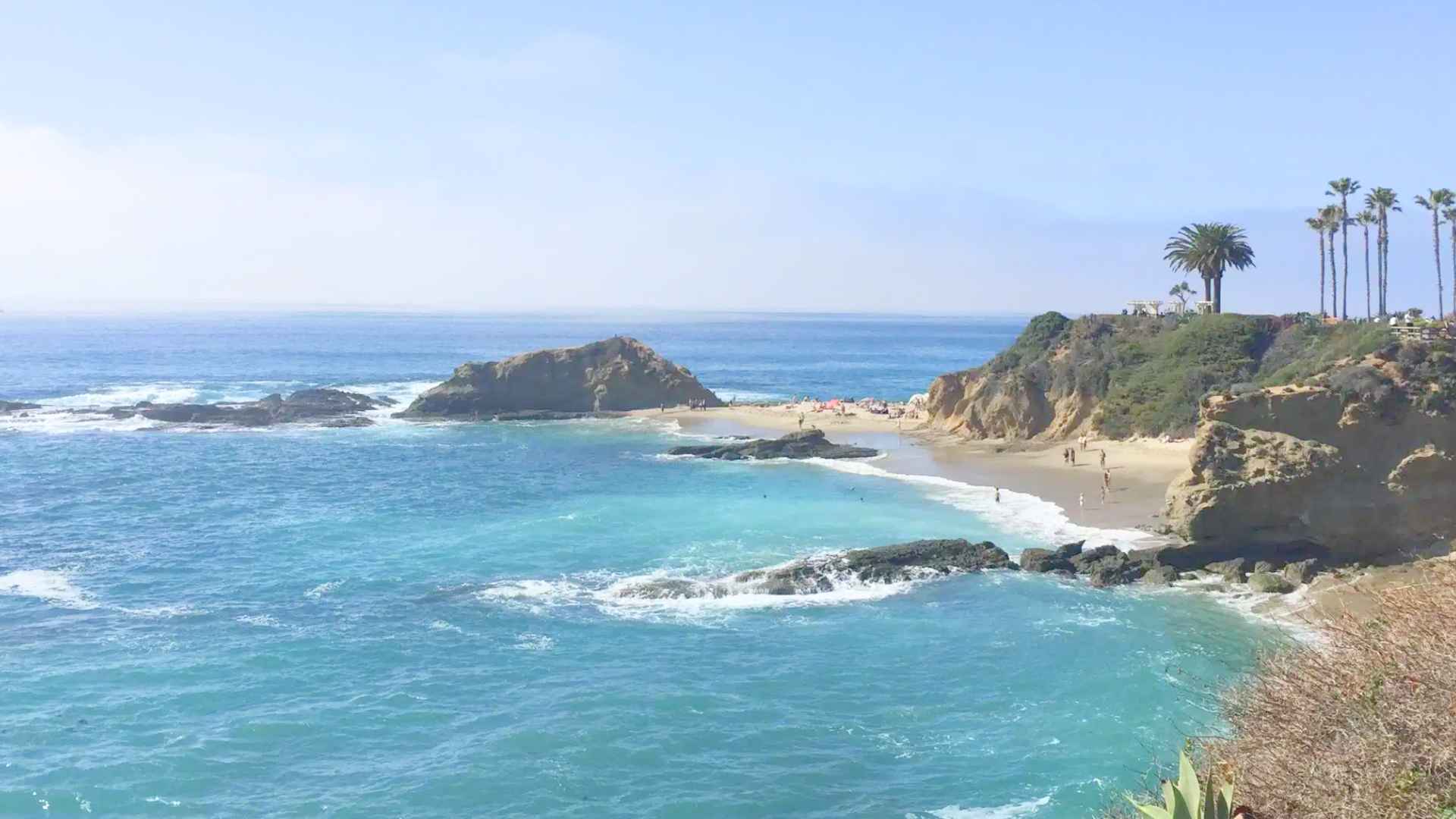Scenic view of a rocky California beach with turquoise waters and palm trees on a sunny day