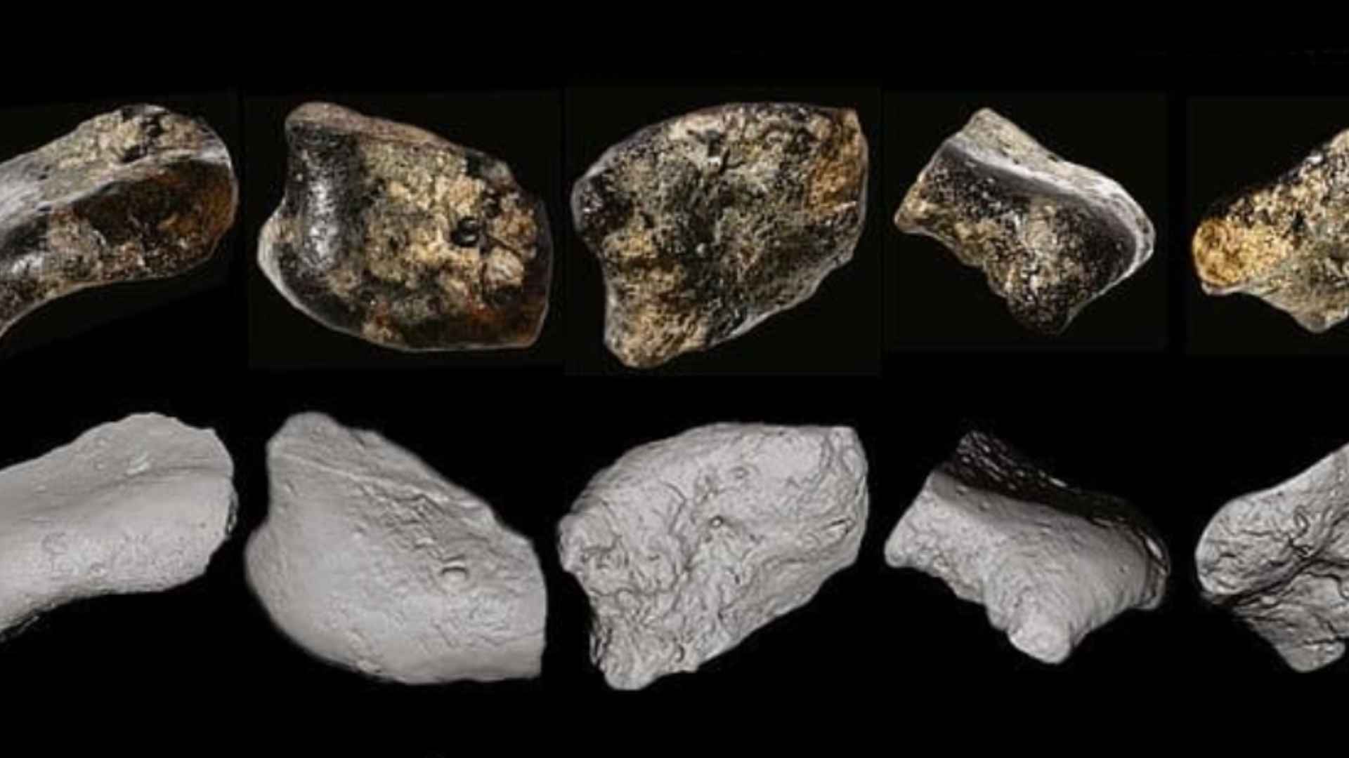 Fossilized bone fragments and their 3D reconstructions from a 140,000-year-old underwater archaeological site in Indonesia