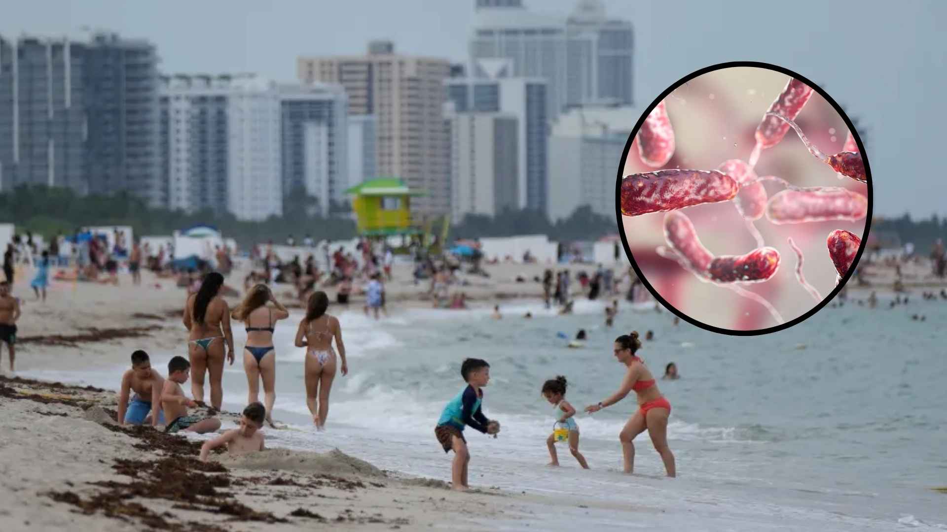 Beachgoers in Florida near the water as flesh-eating bacteria Vibrio vulnificus sparks health warnings