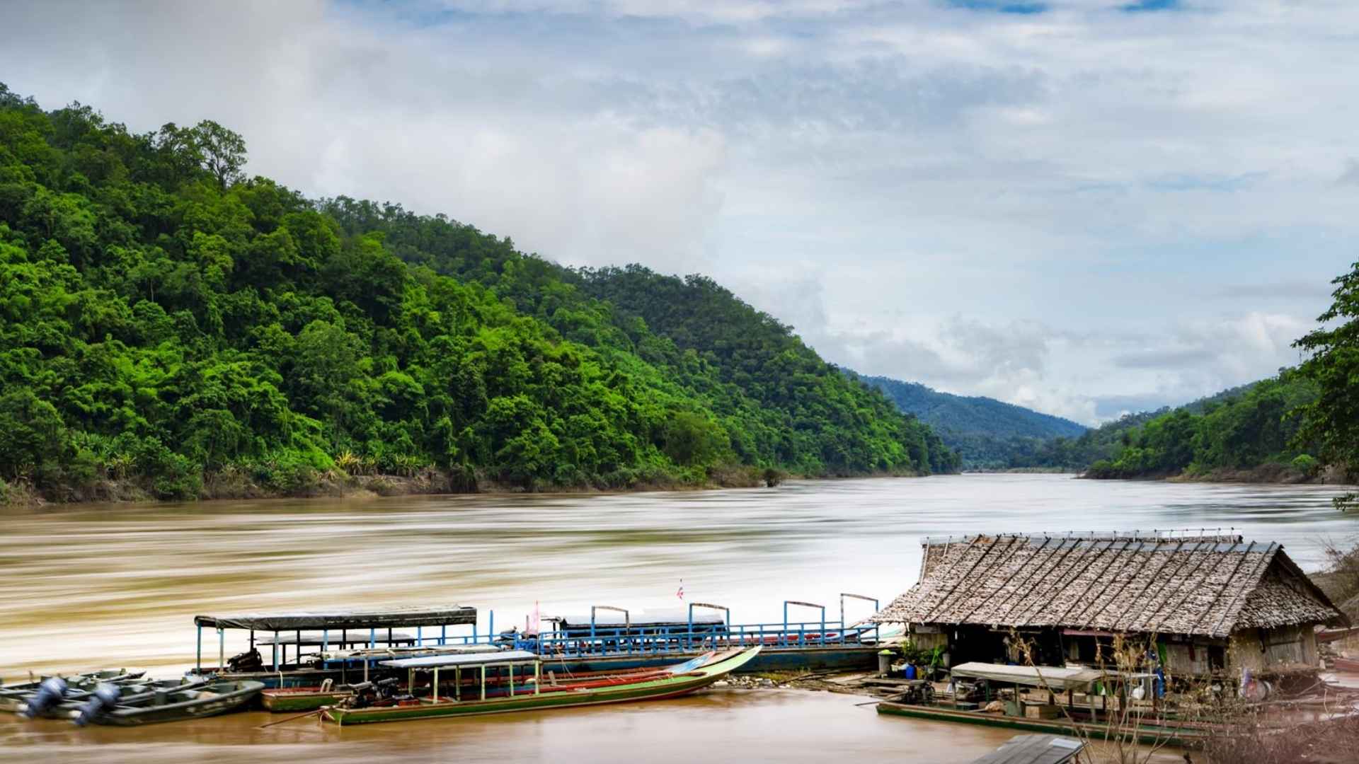 Boats and floating hut on a lush Yunnan river, habitat of the newly identified 100-kg Bagarius protos catfish.