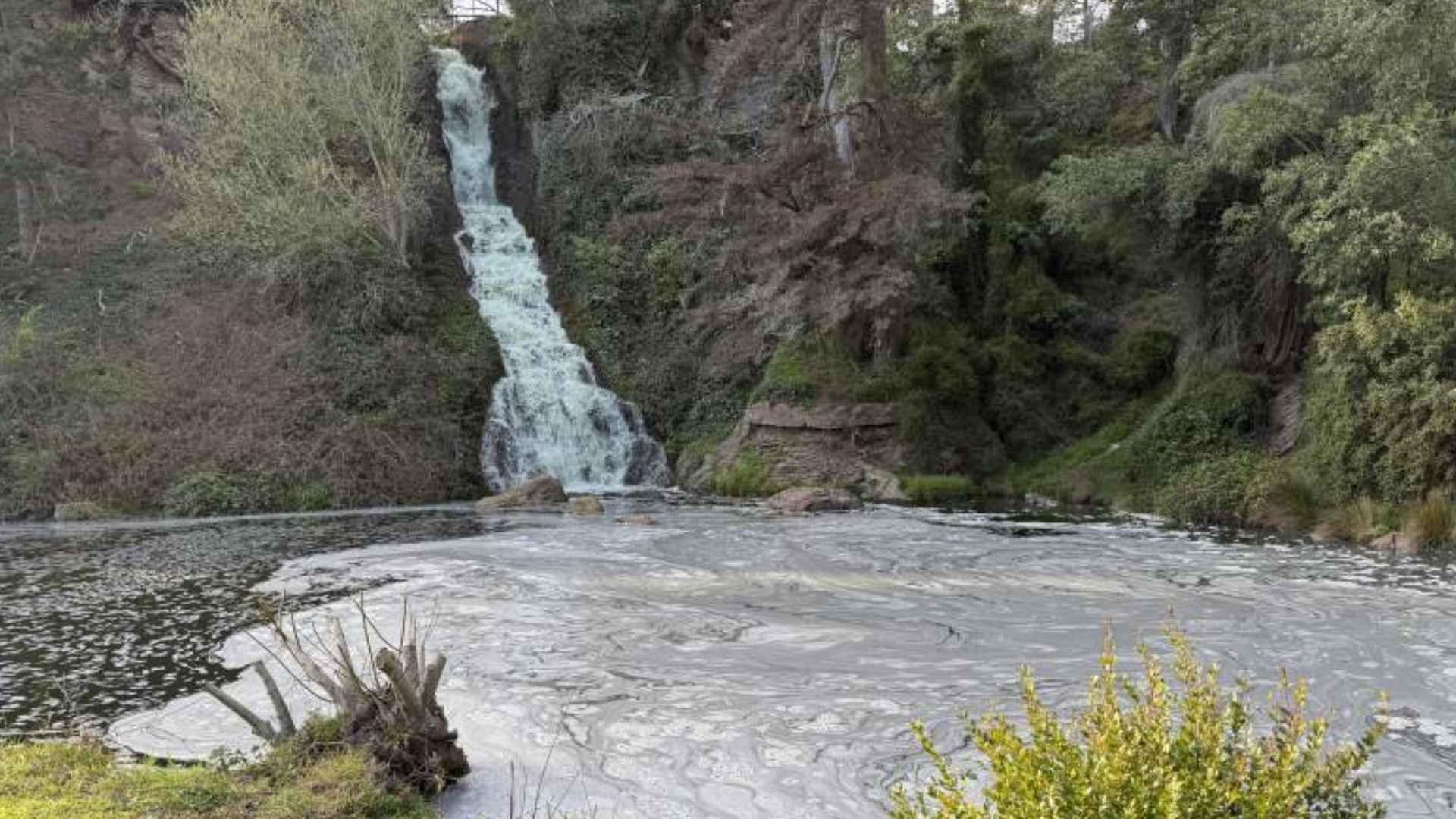 Waterfall flowing into Rainbow Falls Pond at Golden Gate Park, future home of the massive 100-foot sea serpent sculpture.