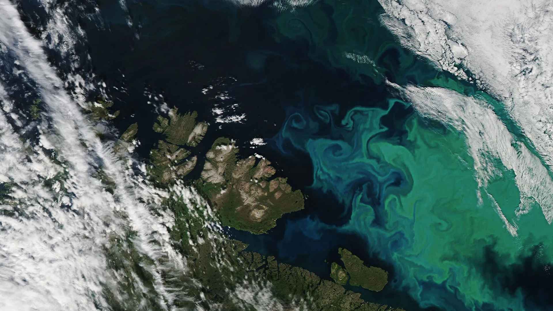 Satellite view showing swirling ocean patterns near East Africa, where Earth’s sixth ocean is forming in real time.