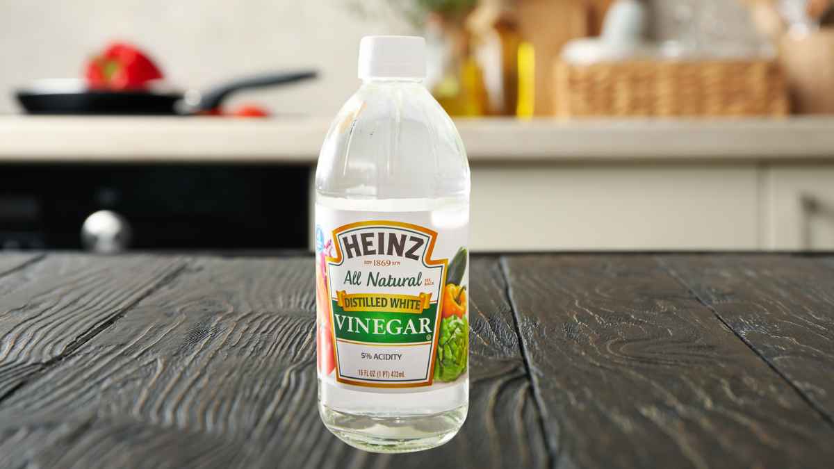 Bottle of distilled white vinegar on a kitchen counter, the pantry staple used to repel summer ants naturally