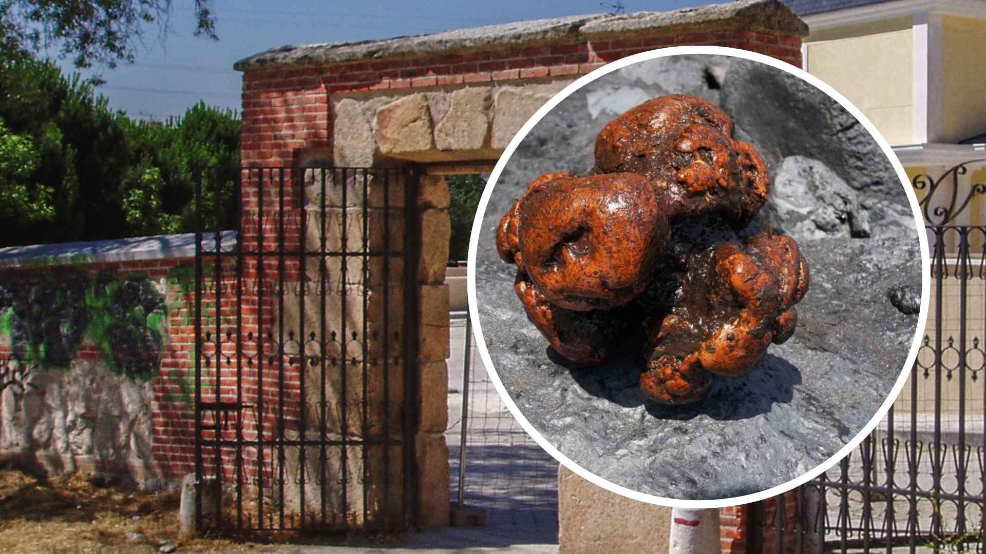 Amber stone worth over one million dollars used as a doorstop in Romania