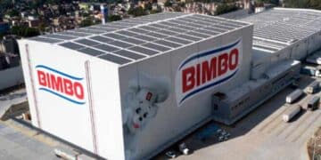 Bimbo empleo