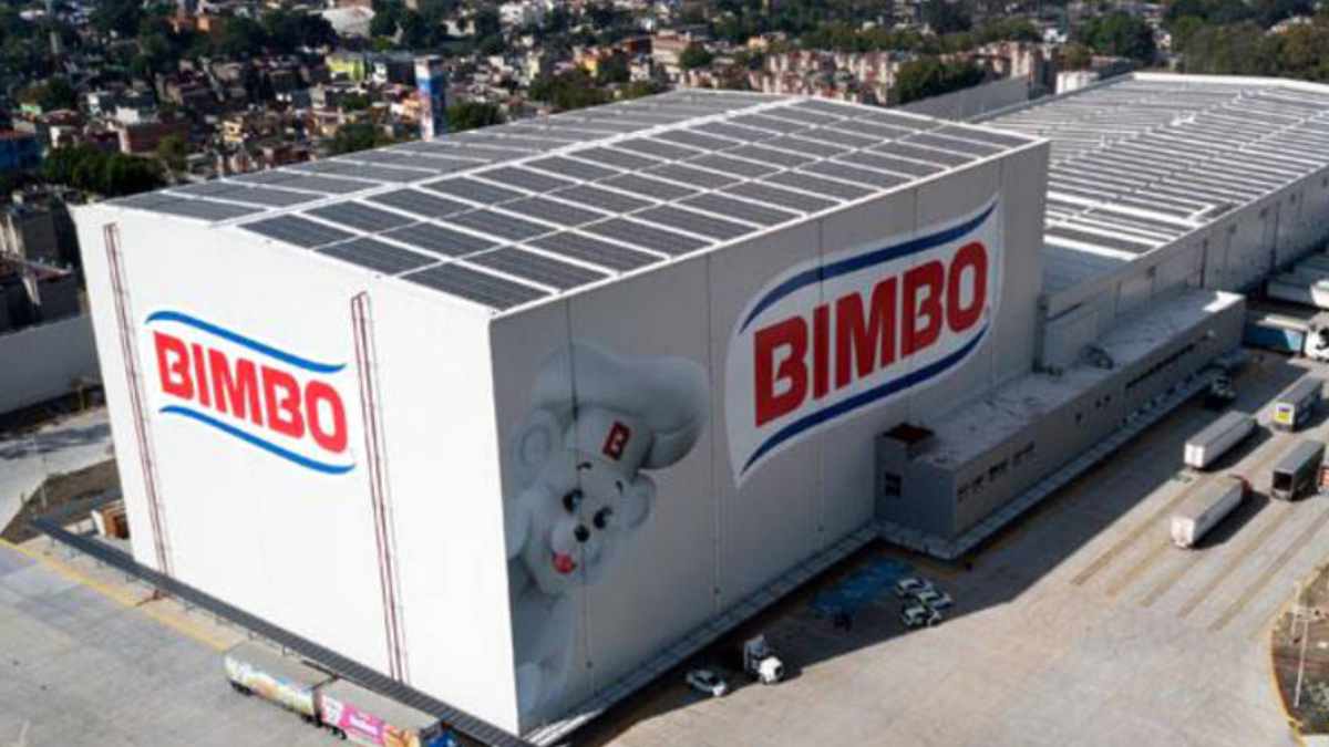 Bimbo empleo