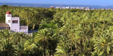 operario de limpieza Elche trabajo