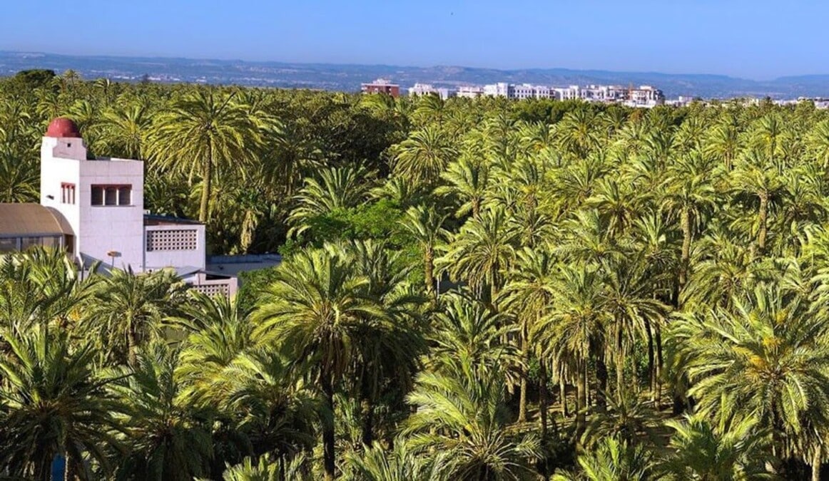 operario de limpieza Elche trabajo