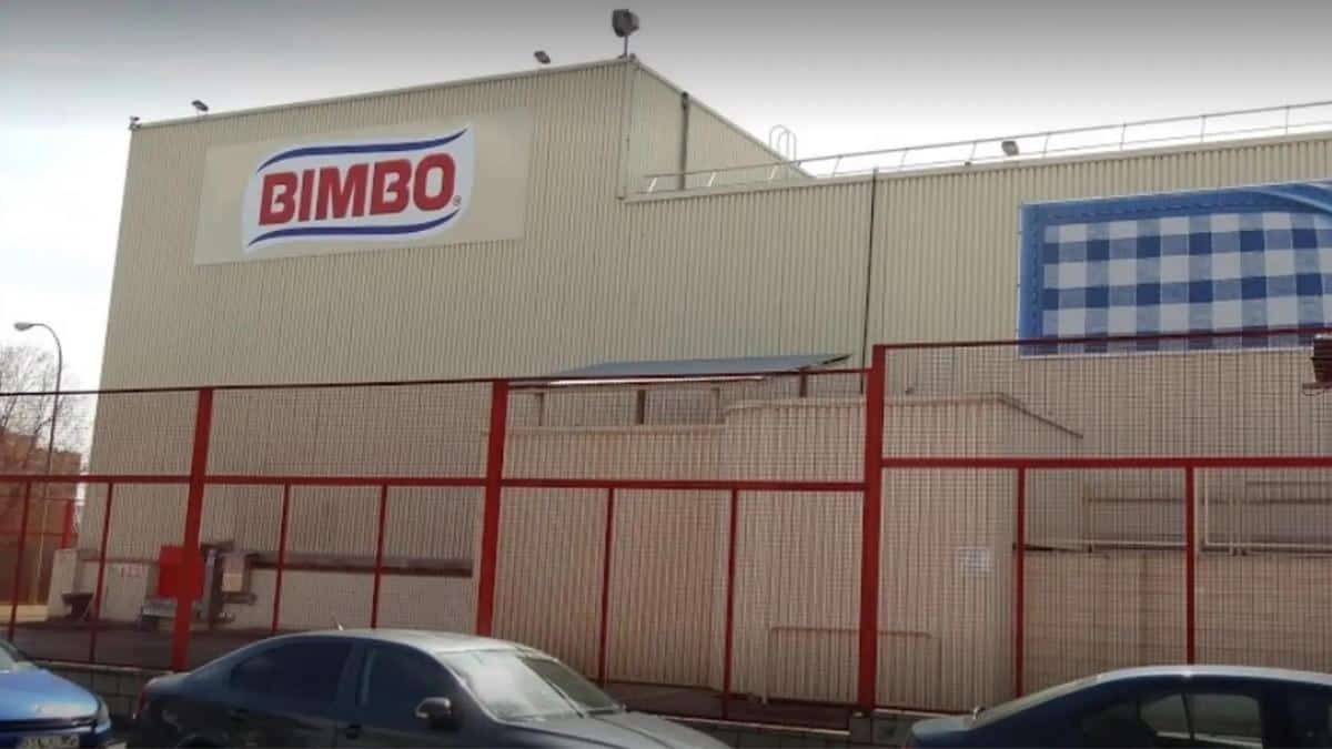 empleo Bimbo Madrid