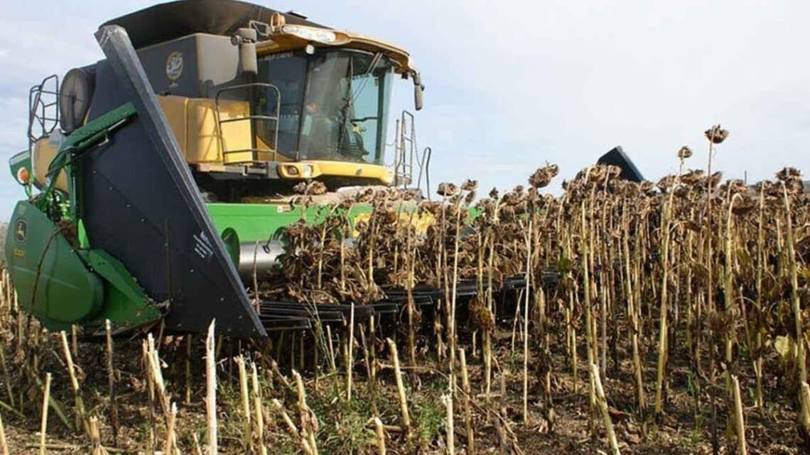 empleo sector agrícola