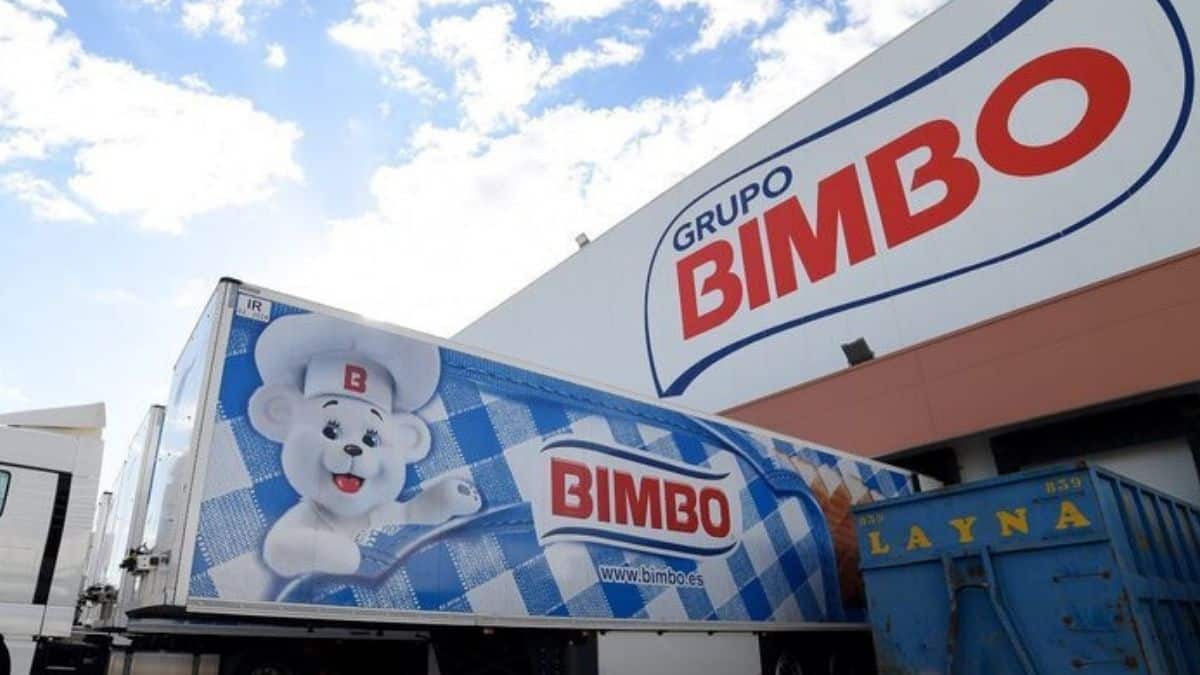 Bimbo busca empleados en toda España con estas ofertas interesantes.