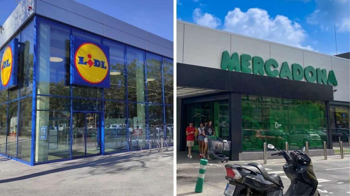 Llega el nuevo supermercado que promete precios más bajos que Mercadona y Lidl: descubre de cuál se trata.