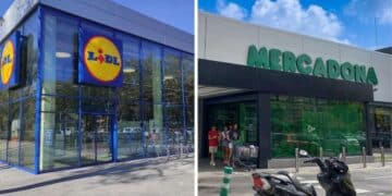 Llega el nuevo supermercado que promete precios más bajos que Mercadona y Lidl: descubre de cuál se trata.