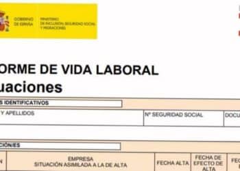 informe vida laboral Seguridad Social