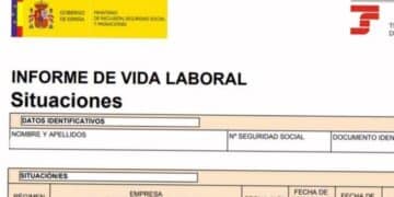 informe vida laboral Seguridad Social