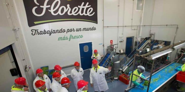 Trabajadores de Florette en una planta de producción agroalimentaria procesando ensaladas y verduras frescas en Torre-Pacheco, Murcia