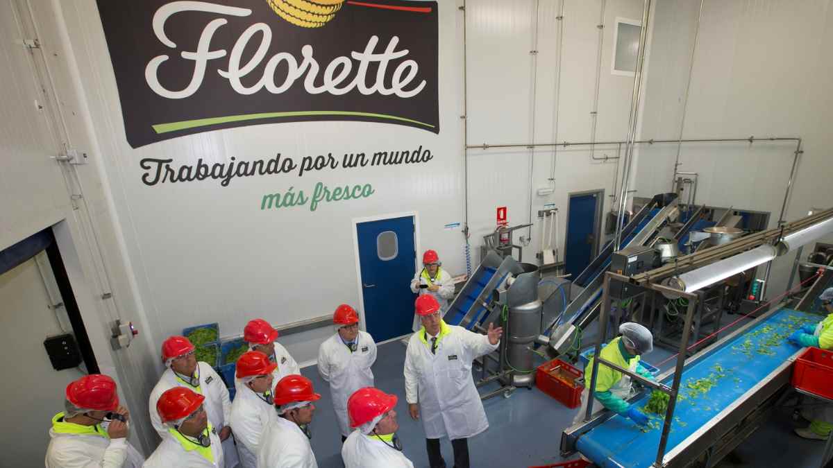 Trabajadores de Florette en una planta de producción agroalimentaria procesando ensaladas y verduras frescas en Torre-Pacheco, Murcia