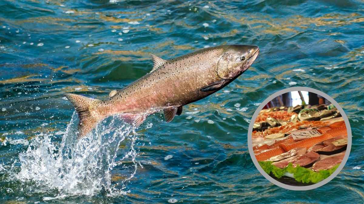 Salmón saltando en el agua con una imagen superpuesta de pescadería mostrando filetes frescos de pescado azul, disponible en Carrefour