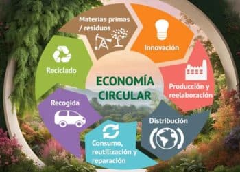 Diagrama de economía circular con fases de producción, distribución, consumo, reciclaje e innovación