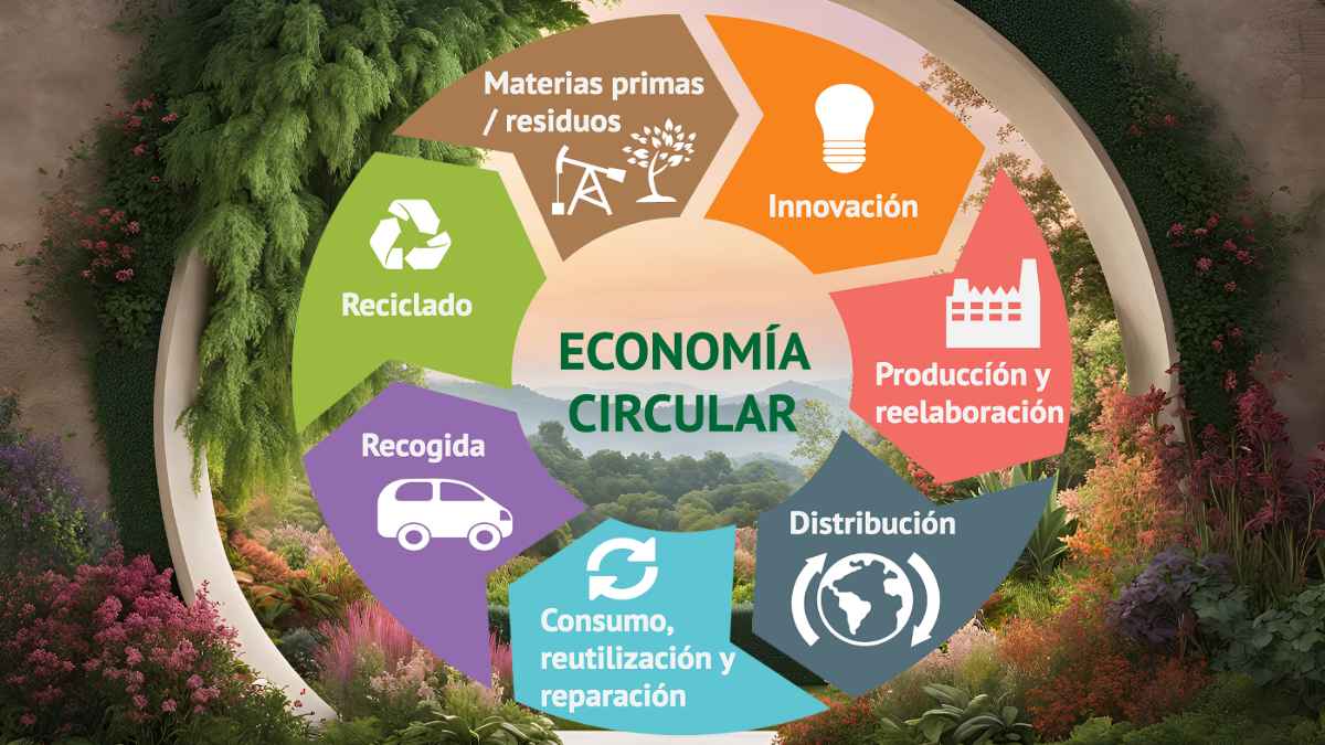 Diagrama de economía circular con fases de producción, distribución, consumo, reciclaje e innovación