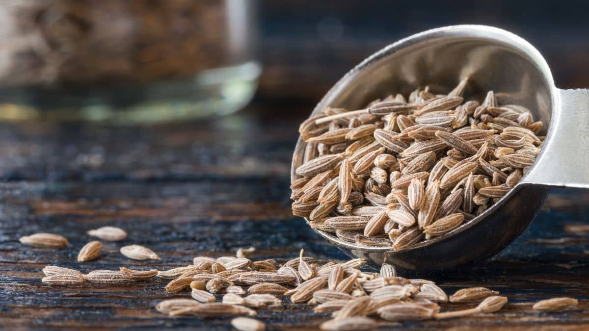 El condimento de comino blanco que es bueno para tu salud.