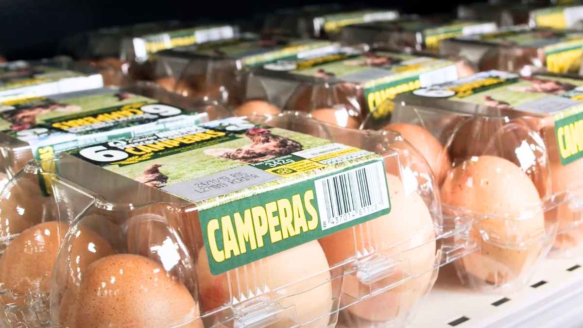 Huevos camperas de la principal proveedora de Mercadona expuestos en un lineal de supermercado