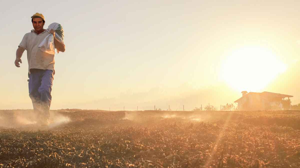 Agricultor francés caminando al amanecer por sus tierras de Auvernia, lugar donde halló un yacimiento de oro valorado en 4.000 millones de euros.
