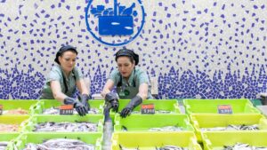 Giro inesperado en las pescaderías de Mercadona: cambia para siempre la forma de comprar pescado en este supermercado