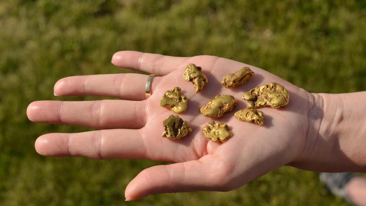 Un par de montañeros se van de excursión y caminando encuentran 3,7 kilos de oro: 598 monedas, 10 pulseras y 17 cajas de puros