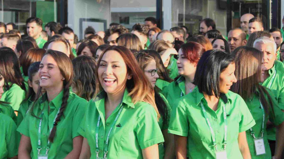Empleados de Leroy Merlin gestionan pedidos de luz V-16 obligatoria para turismos y furgonetas desde 2026