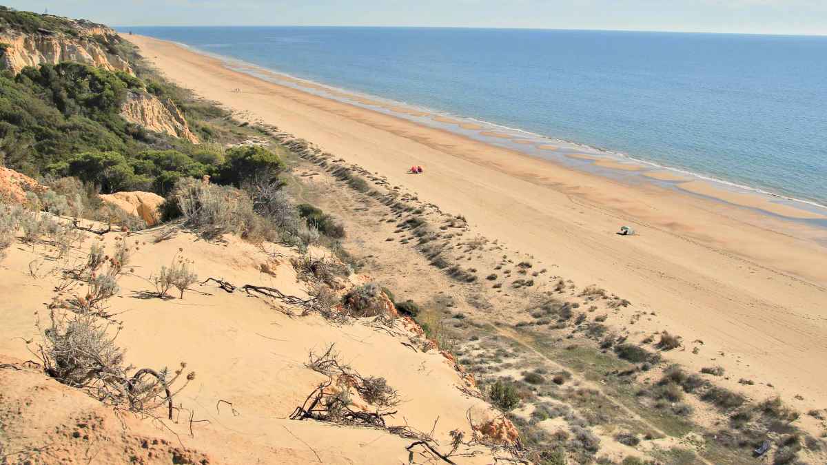Vista panorámica de la playa de Doñana en Huelva, España, casi 30 km de arena virgen dentro del Parque Nacional.
