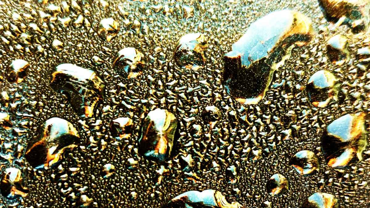 Pepitas de oro brillando en suelo oscuro, como las halladas por un agricultor en Auvernia valoradas en 4.000 millones