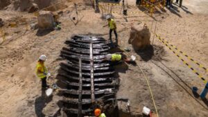 Unos arqueólogos españoles se quedan boquiabiertos al desenterrar un barco del siglo XV bajo las obras del Mercat del Peix