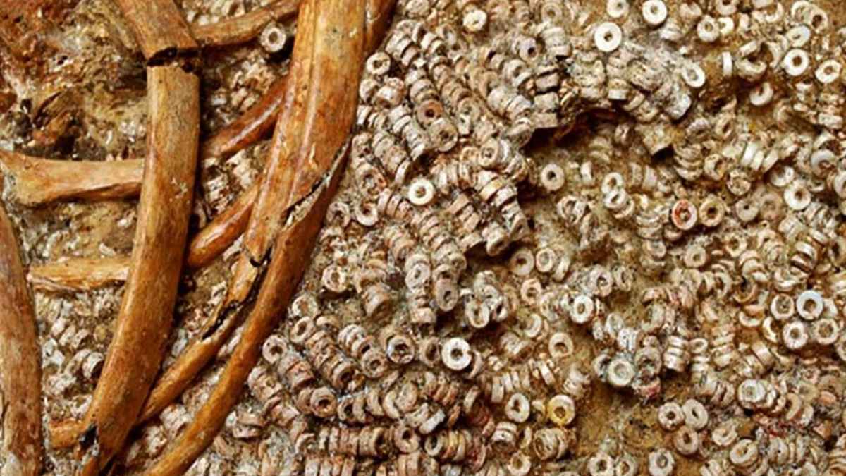 Cuentas marinas prehistóricas halladas en Sevilla confirman comercio mundial antiguo