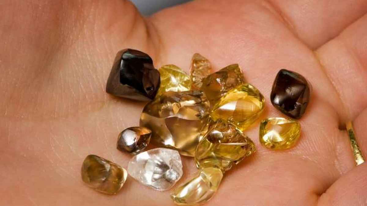 Diamantes en bruto marrón, amarillo e incoloro sobre la palma de una mano, hallados por David Anderson en el Crater of Diamonds (3,29 quilates el mayor).
