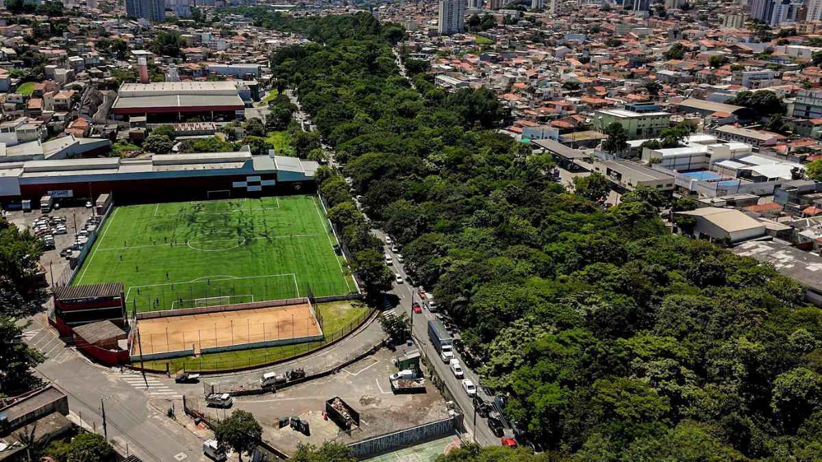 El jubilado que transformó un vertedero en un bosque urbano plantando 41.000 árboles: “Hemos demostrado que esta transformación es posible”