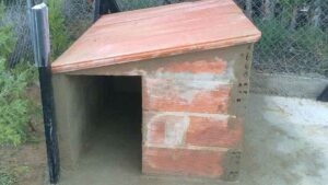 Una pareja entrega 18.000 euros para construir su casa y el obrero SOLO les deja una caseta de perro y un vallado
