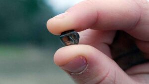 Un hombre que hacía turismo por un parque nacional encuentra un diamante de 7,46 quilates y se hace millonario: “¡Estoy tan feliz!”