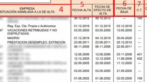 Revisa tu vida laboral gratis y asegúrate la pensión que mereces con la Seguridad Social