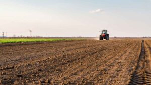 Un agricultor rasga la tierra y destapa un tesoro de la Guerra Civil valorado en 3 millones de euros