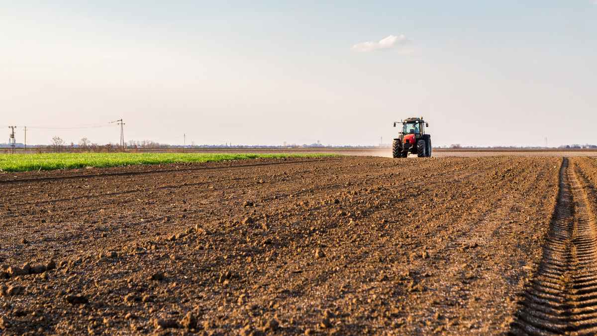 Tractor arando tierra donde un agricultor encontró un tesoro de la Guerra Civil valorado en 3 millones de euros
