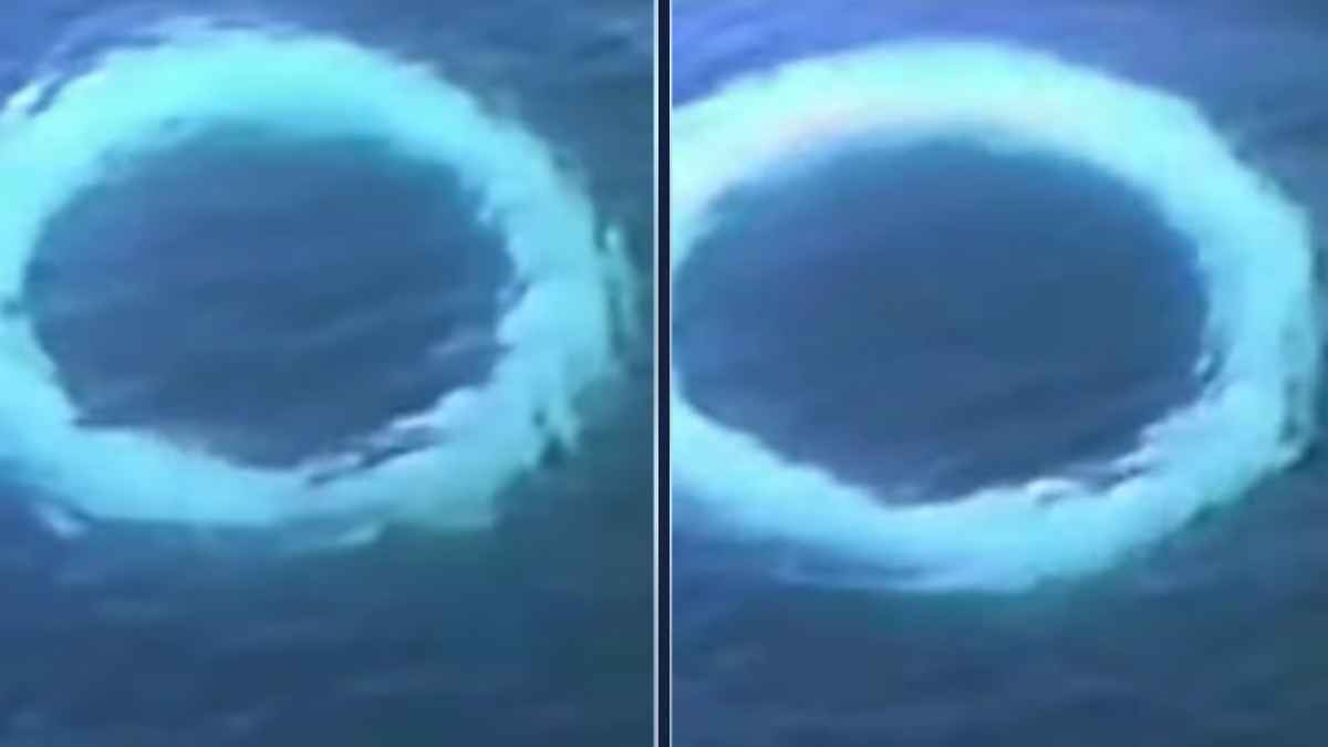 Anillos de burbujas en el océano, posibles señales de ballenas para humanos